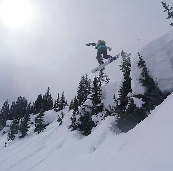 Alex Danford - Poshmark Profile Picture of Alex Danford (@xela2440) on Poshmark