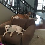 Profile Picture of John Markham (@jmark55) on Instagram