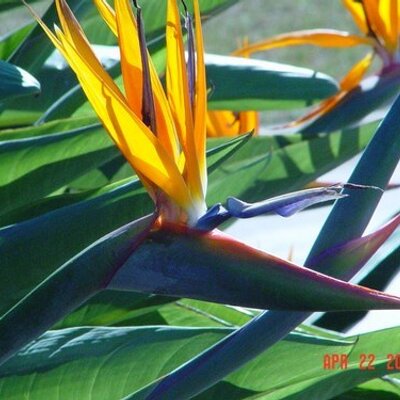 Profile Picture of Cathi Ferguson (@@CathiF2) on Twitter