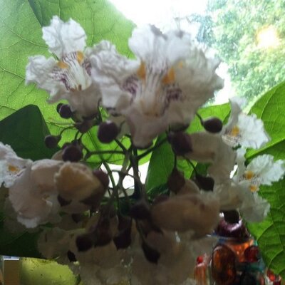 Stephanie List - Twitter Profile Picture of Stephanie List (@littlebitabcdef) on Twitter