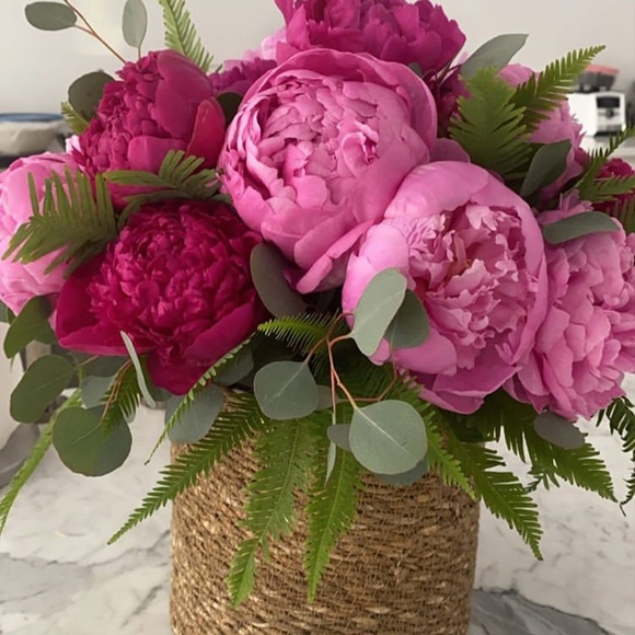 Carly Stephenson - Poshmark Profile Picture of Carly Stephenson (@carlscloset23) on Poshmark