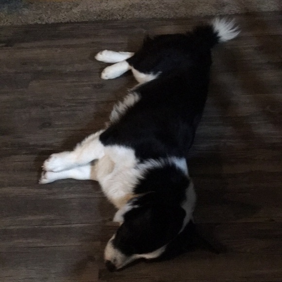 Profile Picture of Mike Connally (@connamc) on Poshmark