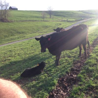 Profile Picture of Andy Hickerson (@HickersonAndy) on Twitter