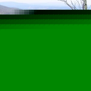 Profile Picture of Travis Eddleman (@tledd) on Myspace