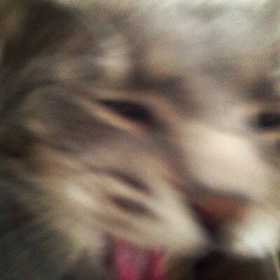 Profile Picture of Aubrey Quinn (@paubzsoda) on Twitter