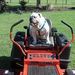 Profile Picture of Glen Fitzpatrick (@fitzpatrick2994) on Pinterest