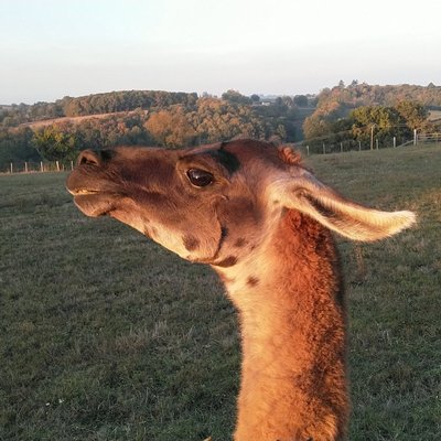 Profile Picture of Jacob Jan Mulder (@JacobJanMulder1) on Twitter