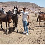 Profile Picture of Azzeddine Hafidi (@azzeddinehafidi) on Instagram