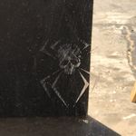 Profile Picture of Thomas Dziedzic (@nationalhotboy) on Instagram