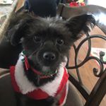 Profile Picture of Bubbles Furey (@bubs_ann12) on Instagram