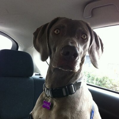 Profile Picture of Helga Jiménez (@HelgaJB) on Twitter