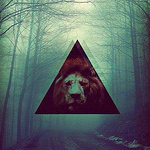 Profile Picture of Daniela Escobar (@danielaescobar399) on Flickr