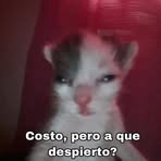 Profile Picture of Pam Dona (@pam.dona.2025) on Facebook