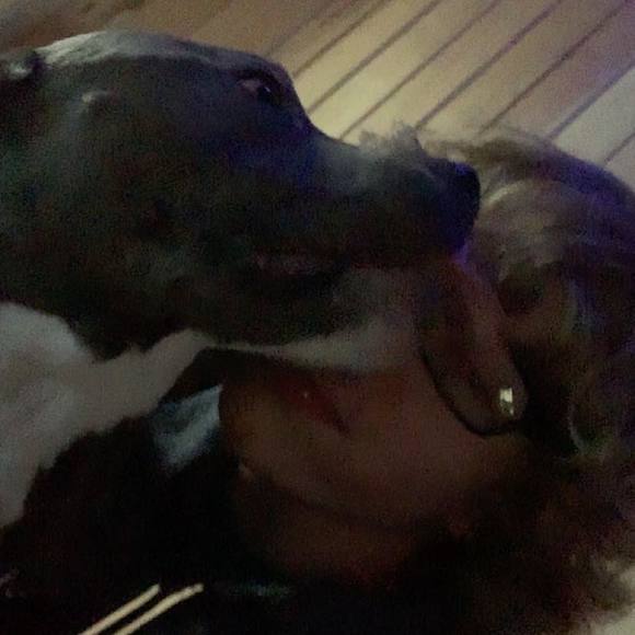 Profile Picture of Michael Proft (@michaelproft) on Poshmark