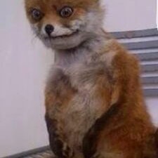 Profile Picture of Gabriel Graham (@GabrielGraham25) on Twitter