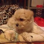 Profile Picture of Damon Curtis (@damon_curtis_1382) on Instagram