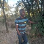 Profile Picture of Vasco Koni (@Vasco-Koni) on Facebook