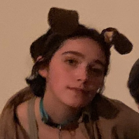 Profile Picture of Iris Sackman (@memyselfandiris) on Poshmark