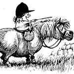 Profile Picture of Kim Nilson (@nilsonkims) on Instagram