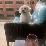 Profile Picture of Tracie Allison (@trae7975) on Instagram