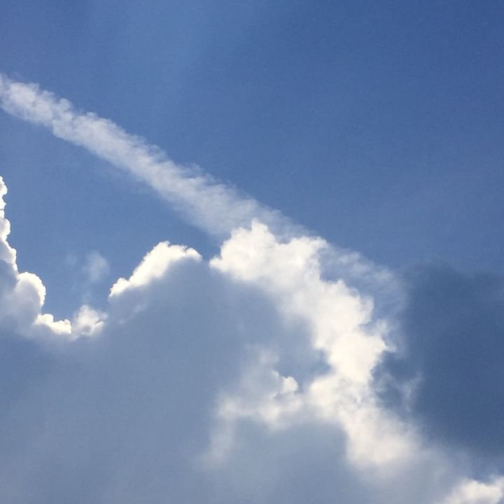 Profile Picture of Lucy Buxton (@lucybuxton03) on Tiktok