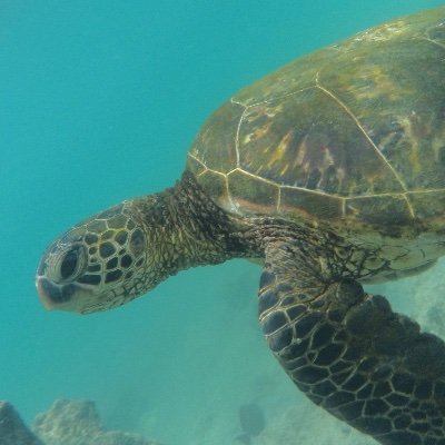 Profile Picture of JustMe (@DavidBustin) on Twitter