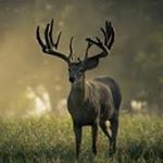 Profile Picture of Jared Bailey Mcneely (@jarhead1154_) on Instagram