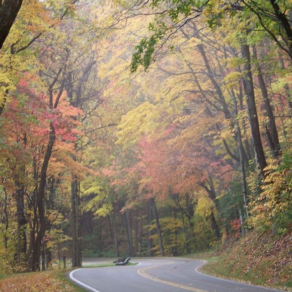 Profile Picture of Doris Fishburn (@dfishburn1958) on Poshmark