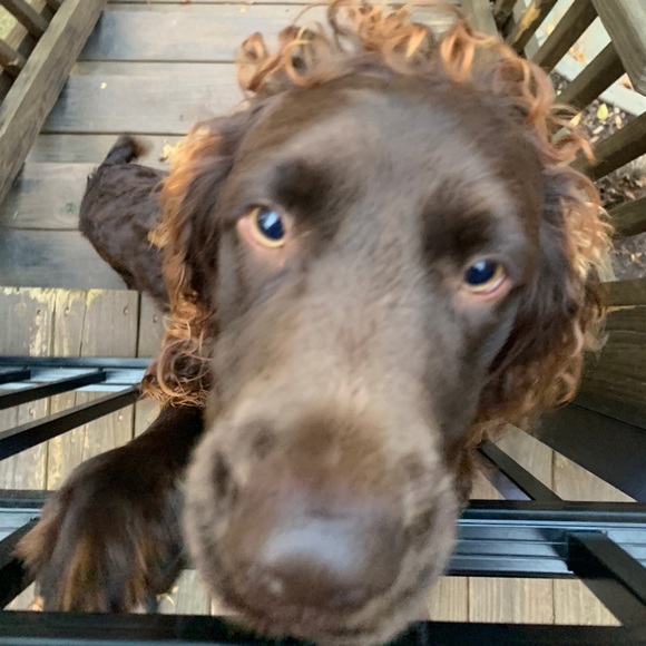 Profile Picture of Kenny Hanna (@kennyhanna) on Poshmark