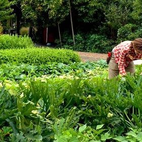 Profile Picture of Danielle LoRusso (@lorusso1756) on Pinterest