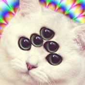 KASKI 卐 PRODUCTIONS - Youtube Profile Picture of KASKI 卐 PRODUCTIONS (@kaskiproductions1476) on Youtube