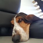 Christopher Somers - Instagram Profile Picture of Christopher Somers (@somers2030) on Instagram