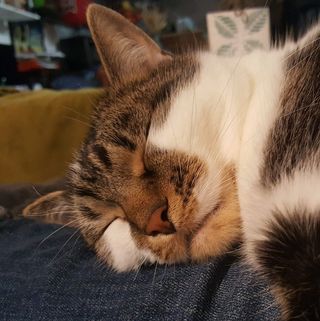 Richard Matera - Facebook Profile Picture of Richard Matera (@richard.matera.77) on Facebook