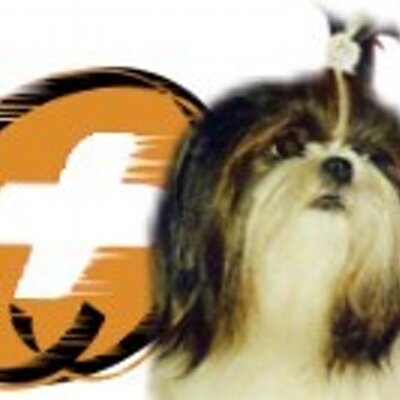 Profile Picture of Shih Tzu Rescue (@ShihTzuRescue) on Twitter
