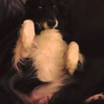 Profile Picture of Christine Ivison Mulligan (@chris.mulligan.56) on Instagram