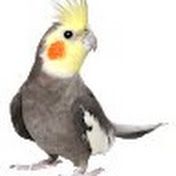 Profile Picture of Devin Crowley (@devincrowley) on Youtube