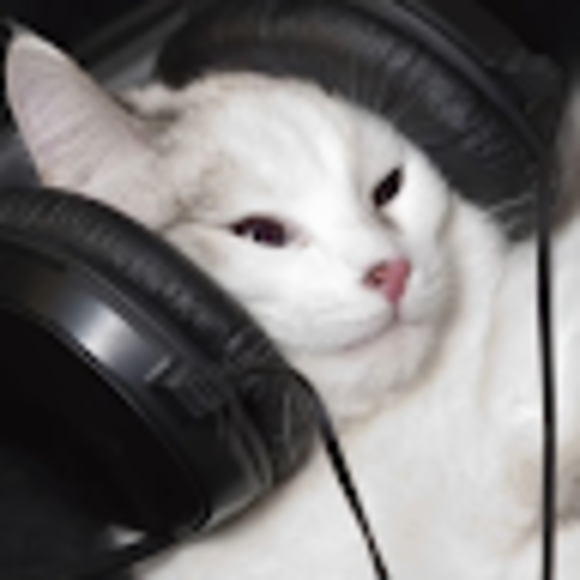 Profile Picture of Katerina Krysan (@katastrophy44) on Poshmark