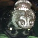 Profile Picture of Shawn Brewer (@coffeehead55) on Pinterest