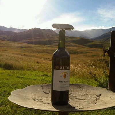 Profile Picture of Garth Harrison (@DomouHarry) on Twitter