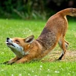 Profile Picture of Justin Malone (@Justin-Malone) on Facebook