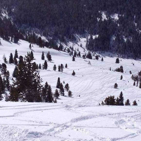 John Cardile - Poshmark Profile Picture of John Cardile (@jcardile7) on Poshmark