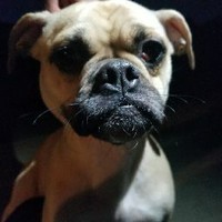 Profile Picture of Luis Zepeda (@luis-zepeda-54) on Quora