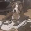 Profile Picture of Raymond Taborn237 (@@rayraytab) on Tiktok