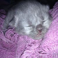 Profile Picture of Paula Mckenna (@paula-mckenna-5) on Quora