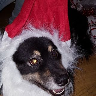 Profile Picture of Kenneth Isaksson (@kenneth.isaksson.33) on Facebook