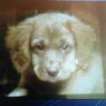 Profile Picture of athena smith (@athena.smith) on Instagram