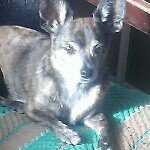 Profile Picture of christopher (@chrislafontainecleveland) on Instagram