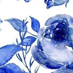 Profile Picture of Laura Sheasby (@laurasflowers50) on Instagram