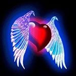 wilfredo roman - Instagram Profile Picture of wilfredo roman (@wilfredoroman238) on Instagram