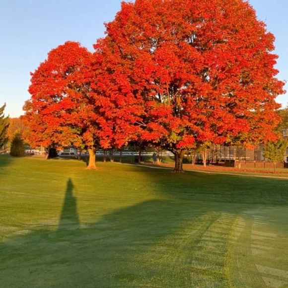 Profile Picture of Raymundo a Cabrera (@raymndocabrera) on Poshmark